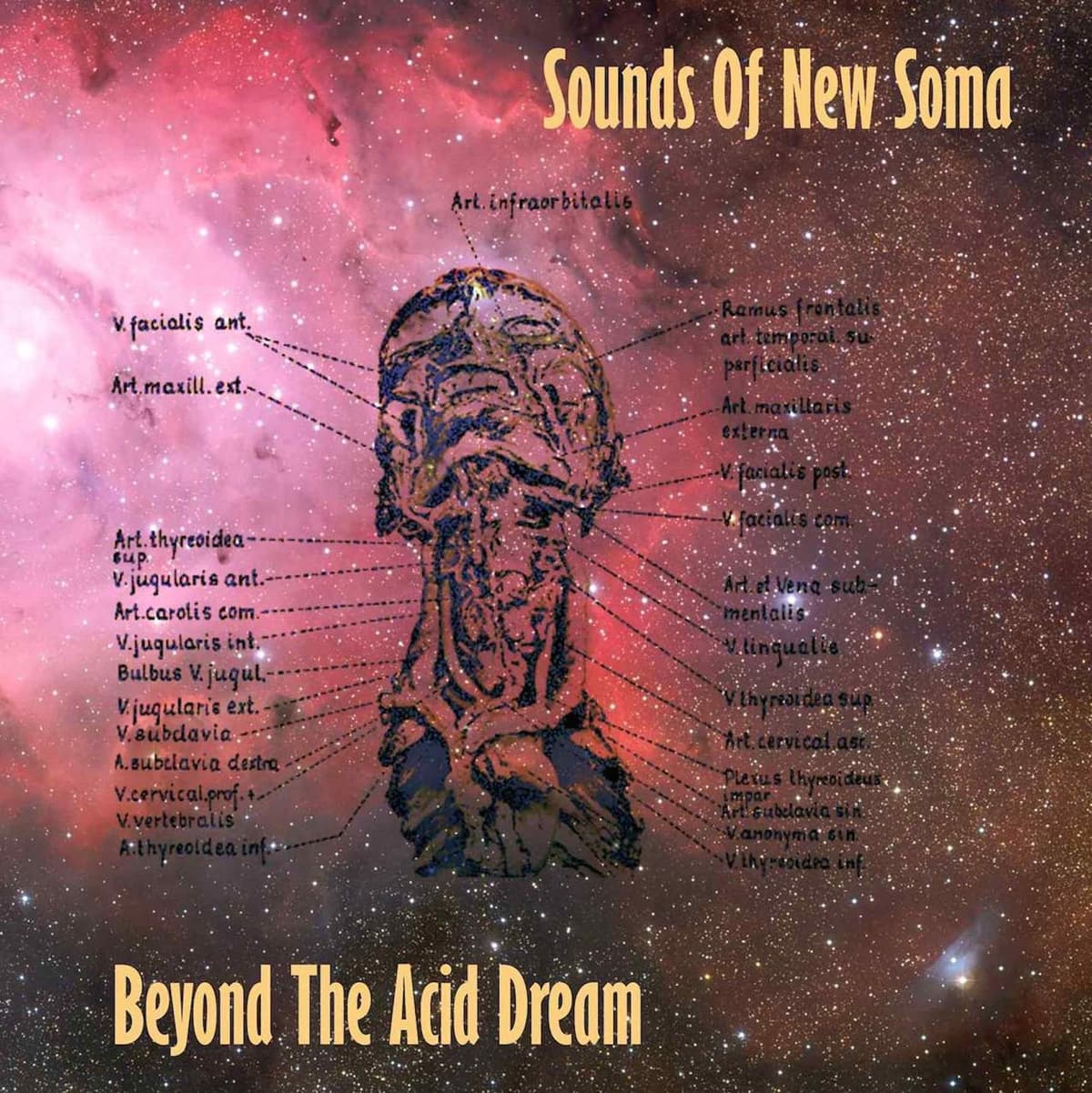 Beyond the Acid Dream