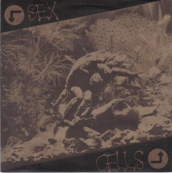 Sex Cells