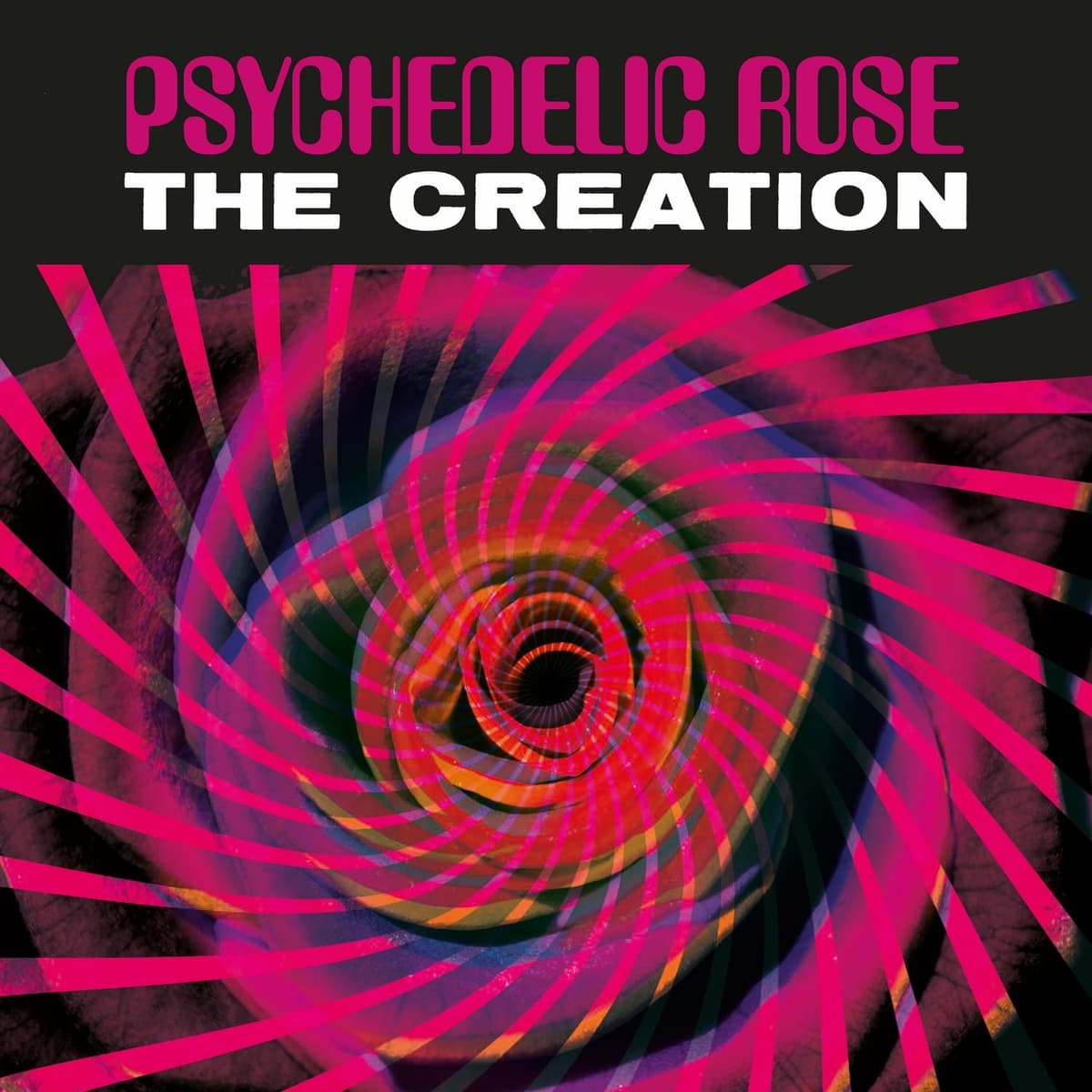 Psychedelic Rose