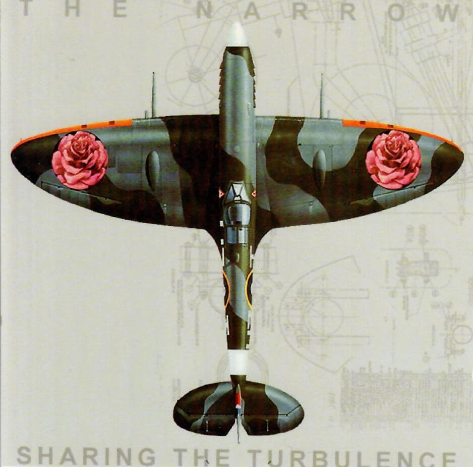 Sharing the Turbulence