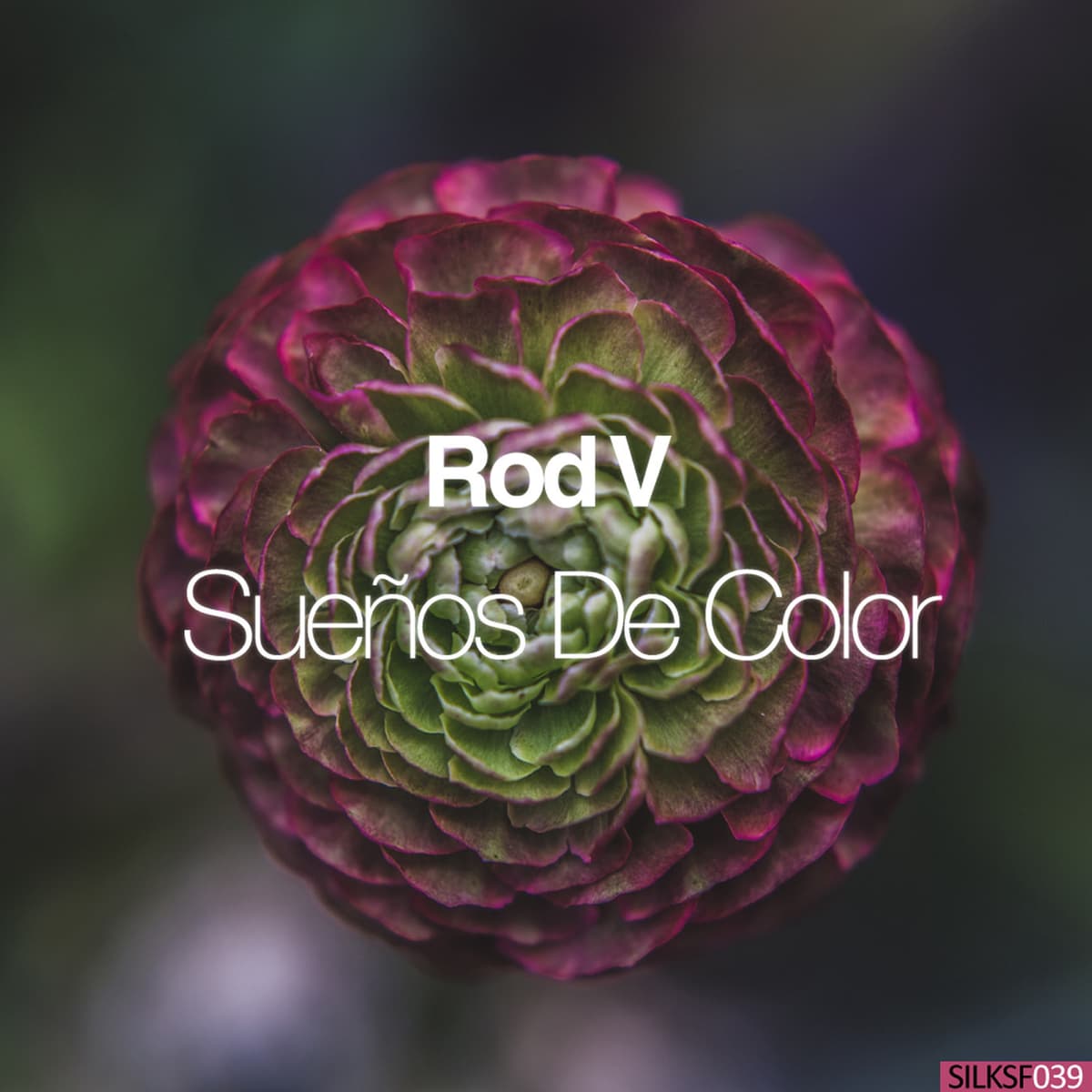 Sueños de color