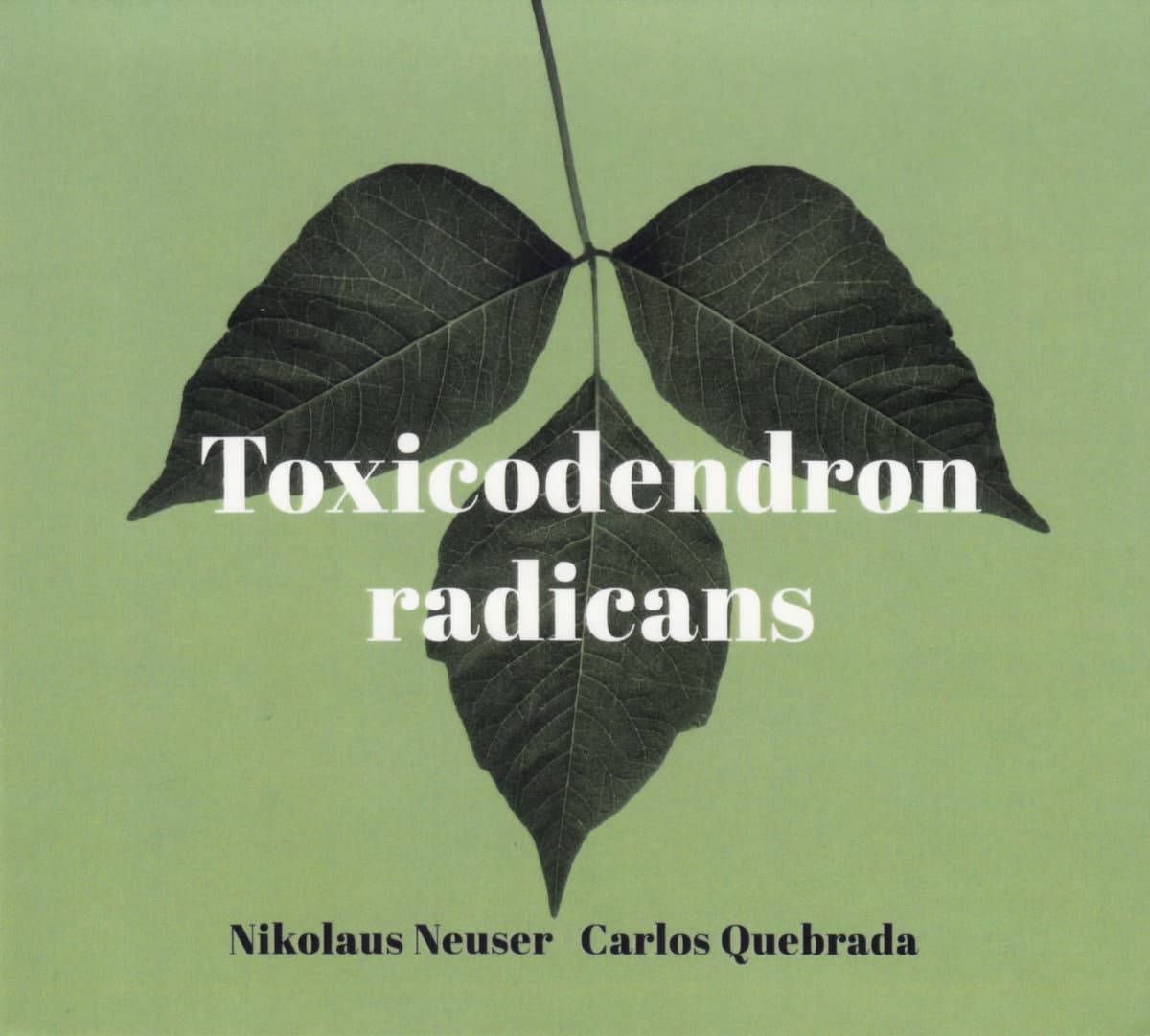 Toxicodendron Radicans