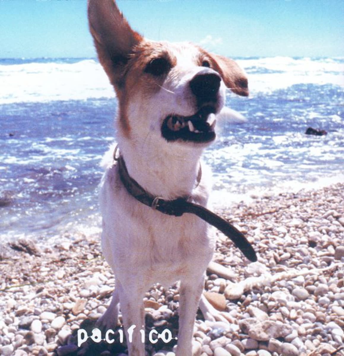 Pacifico