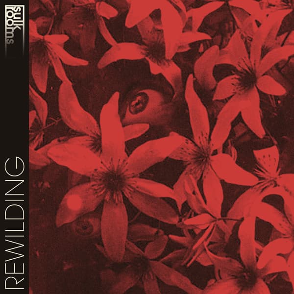 Rewilding