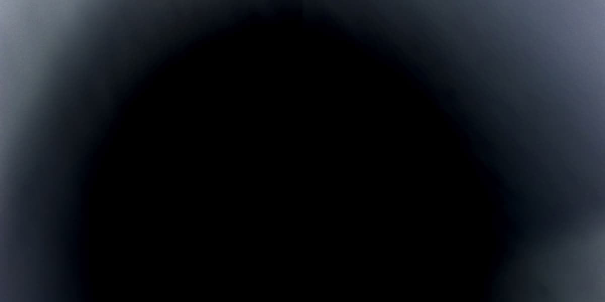 Gemini Error Correction