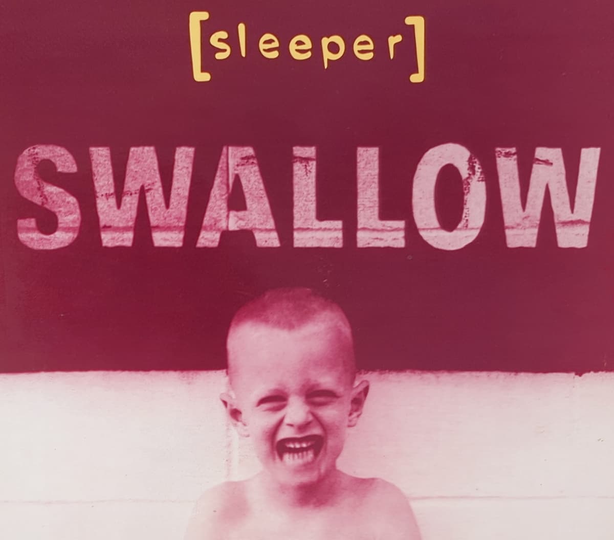 Swallow