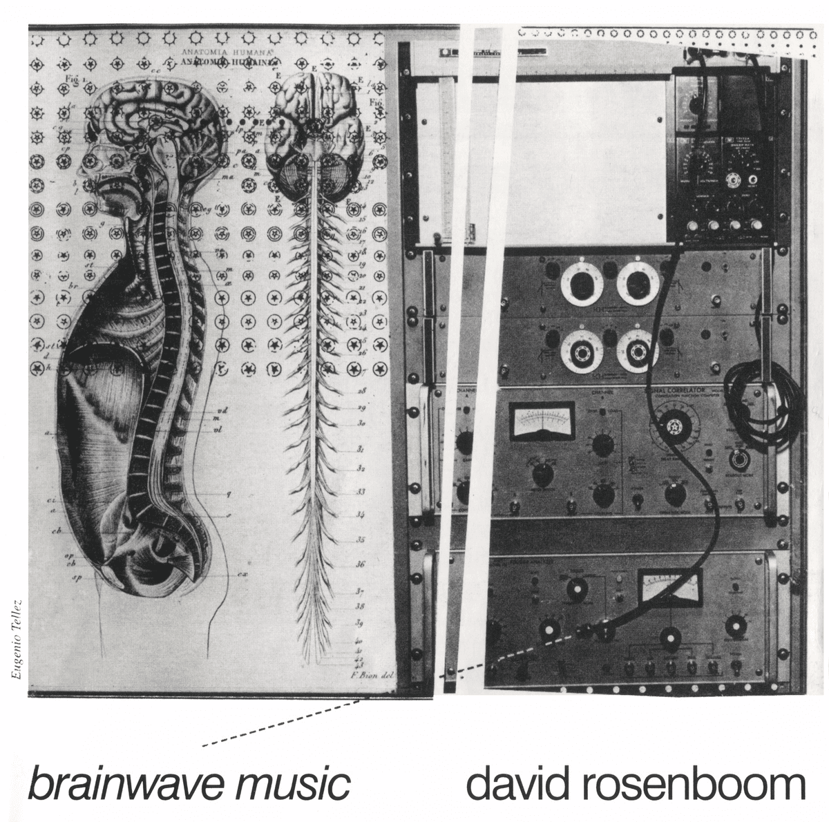 Brainwave Music