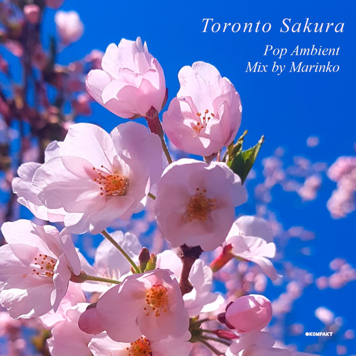 Toronto Sakura (Pop Ambient Mix)