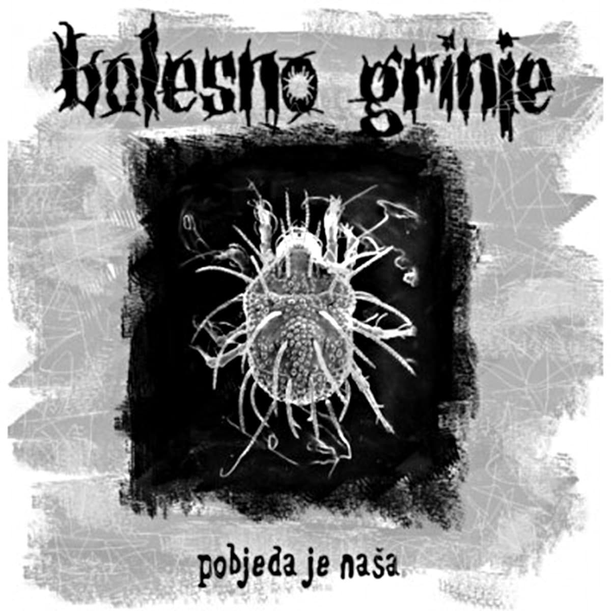 Pobjeda je naša
