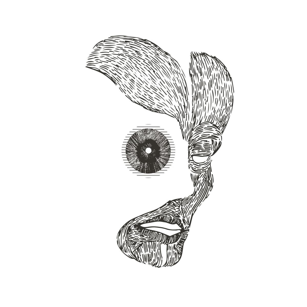 Cogito Ergo Sum