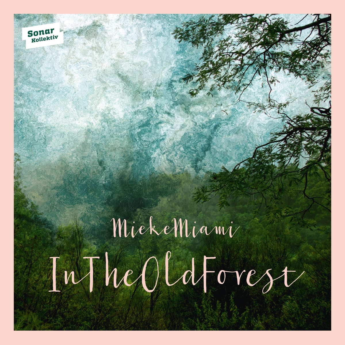 In the Old Forest