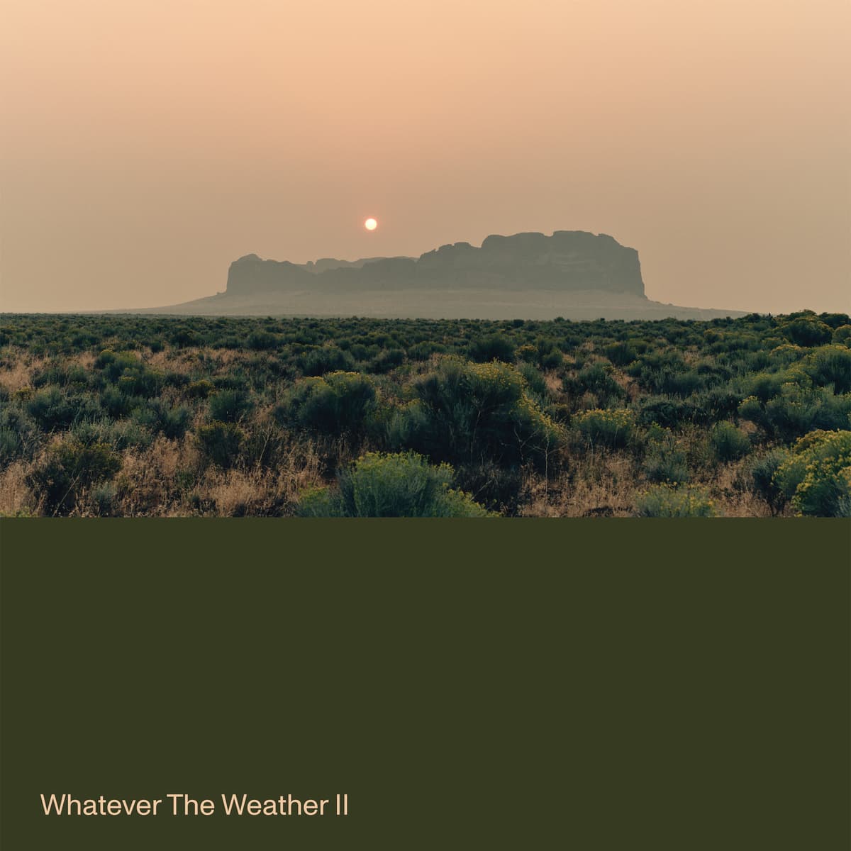 Whatever the Weather II