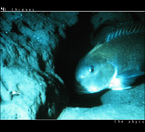 The Abyss