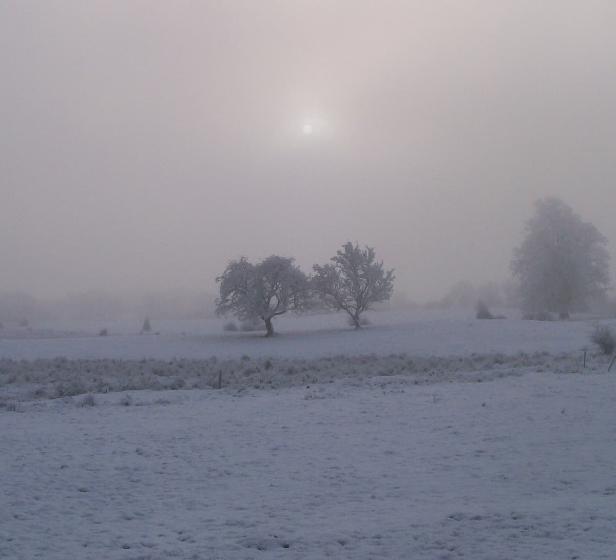 Arc of a Snowfall