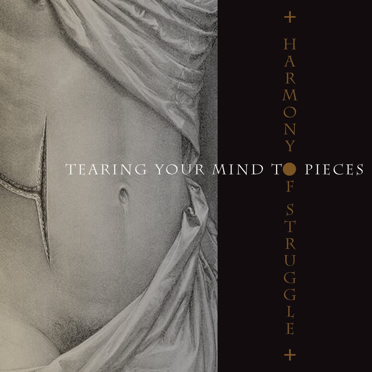 Tearing Your Mind to Pieces