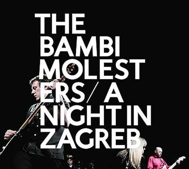 A Night in Zagreb