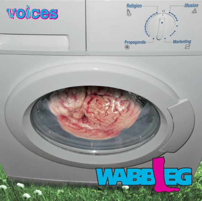 voices