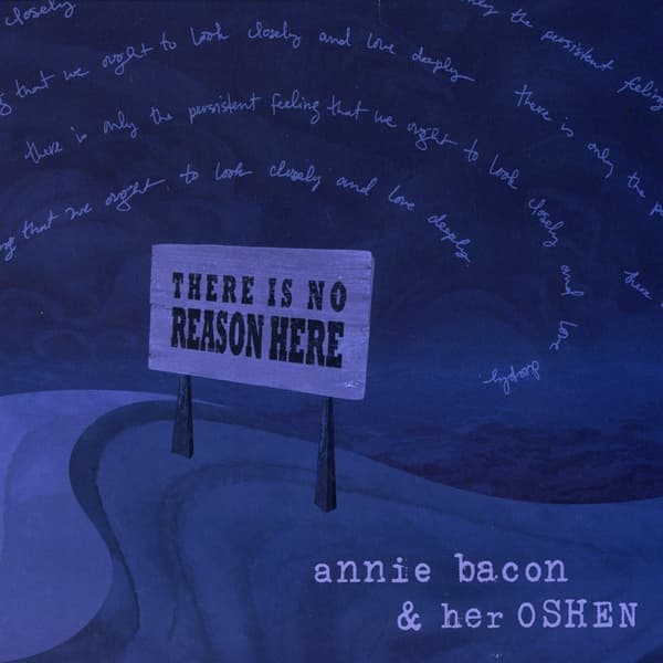 There Is No Reason Here