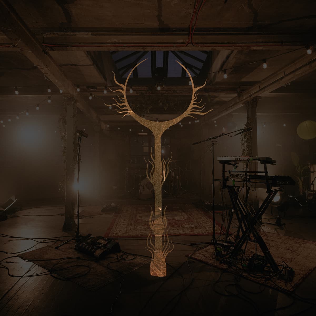 Live at the Biscuit Factory