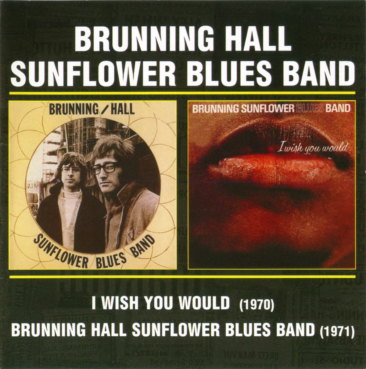 I Wish You Would / Brunning Hall Sunflower Blues Band