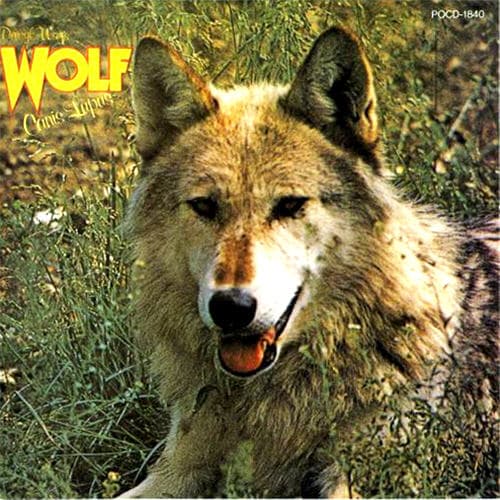 Canis Lupus
