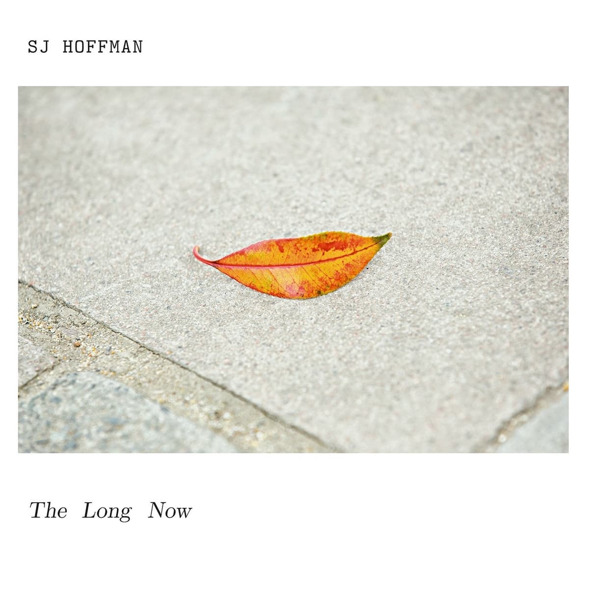 The Long Now