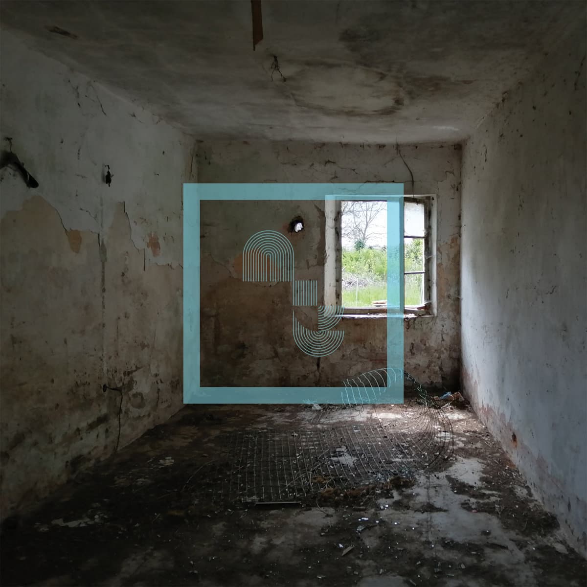 Transience