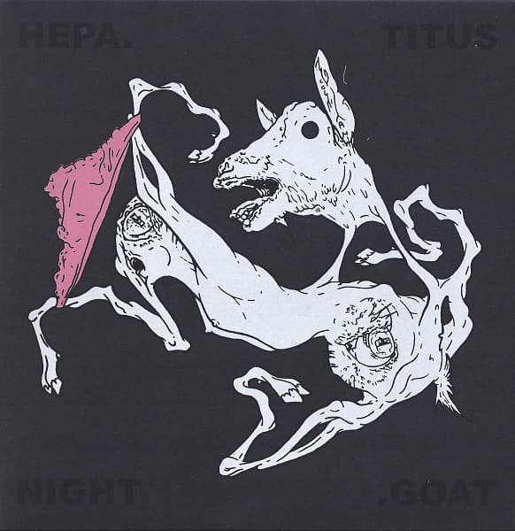 Night Goat