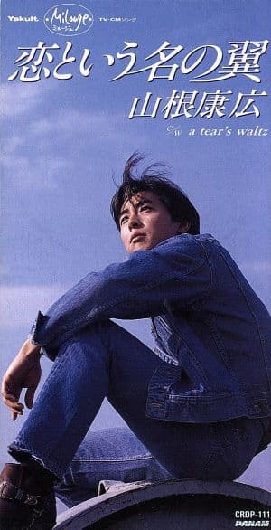 恋という名の翼