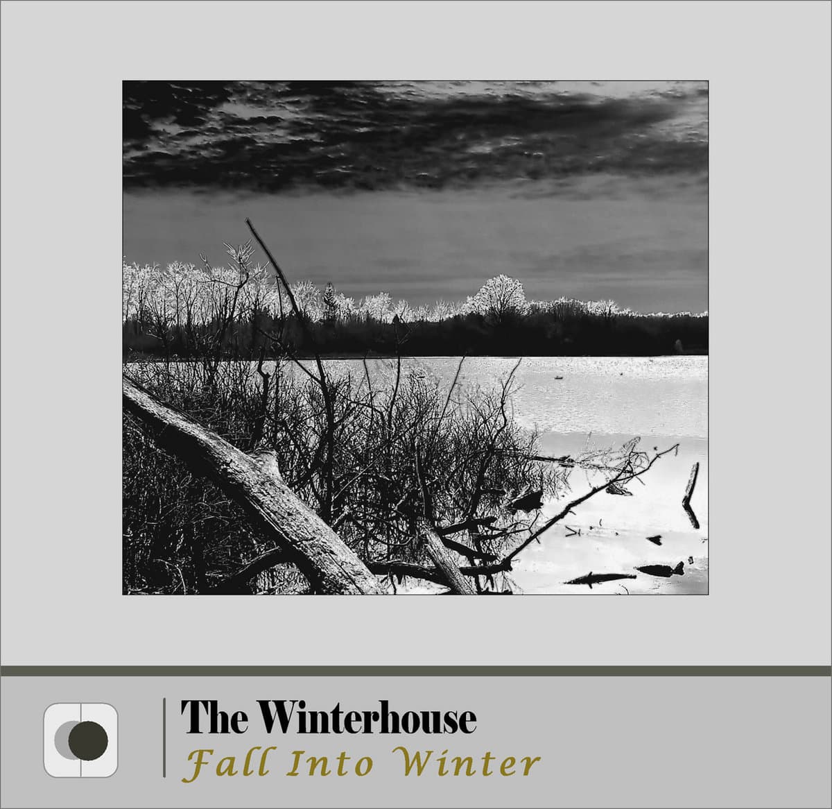 Fall Into Winter