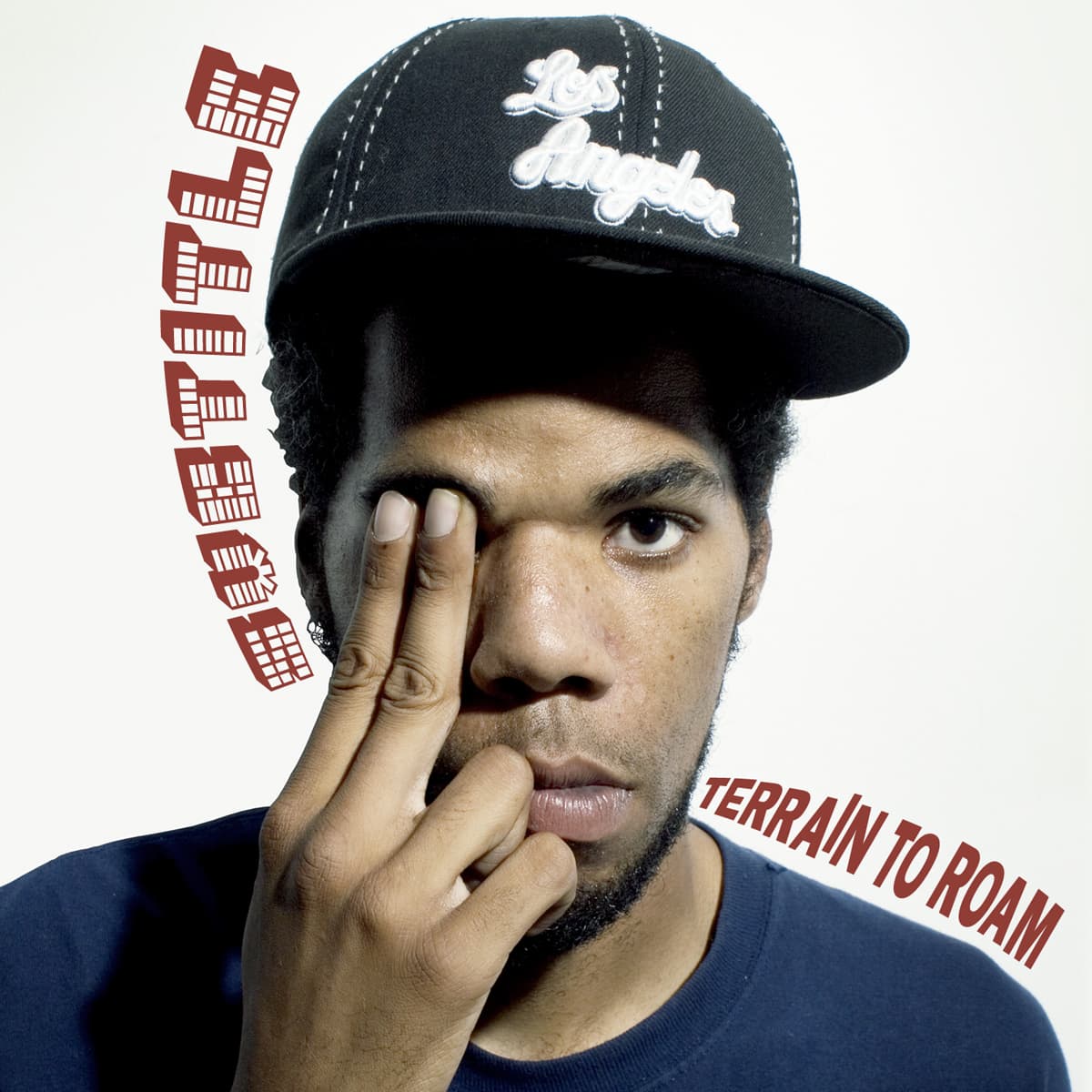 Terrain to Roam