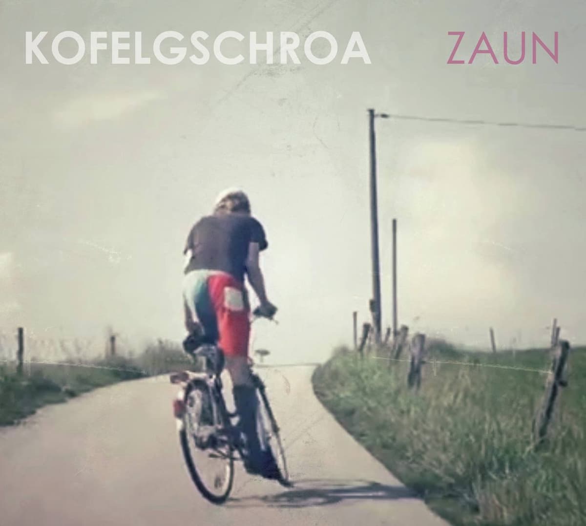 Zaun