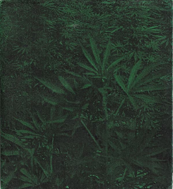 Demo No. 1
