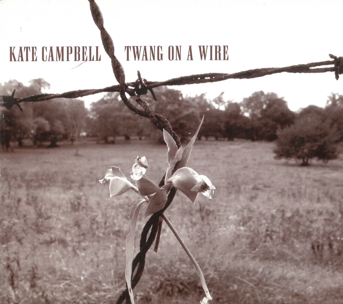 Twang on a Wire