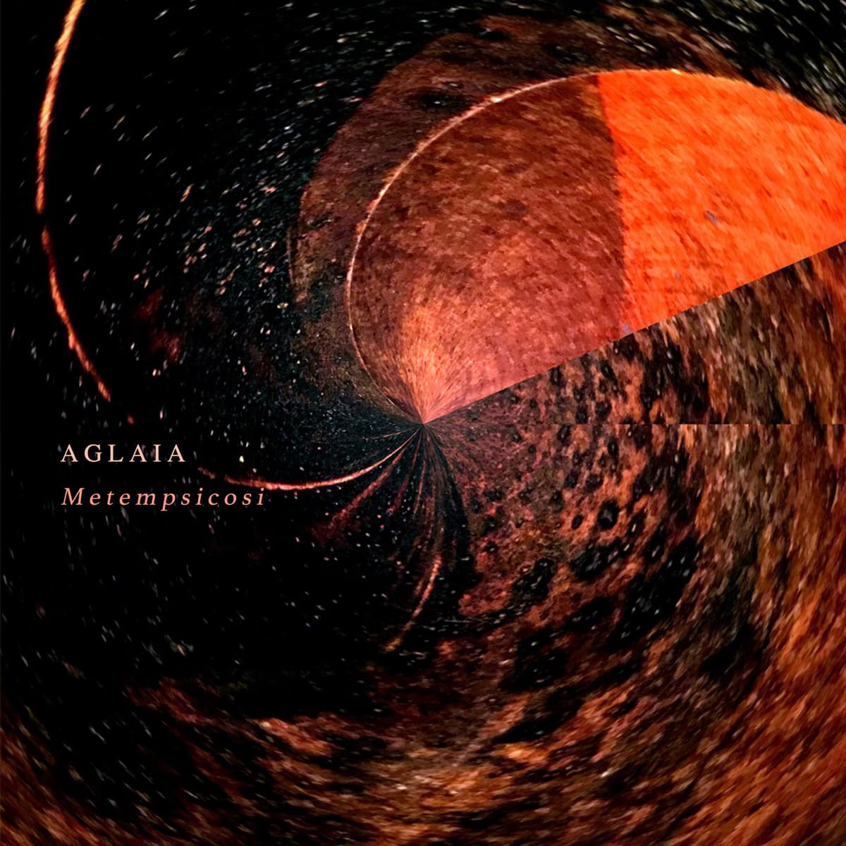 Metempsicosi