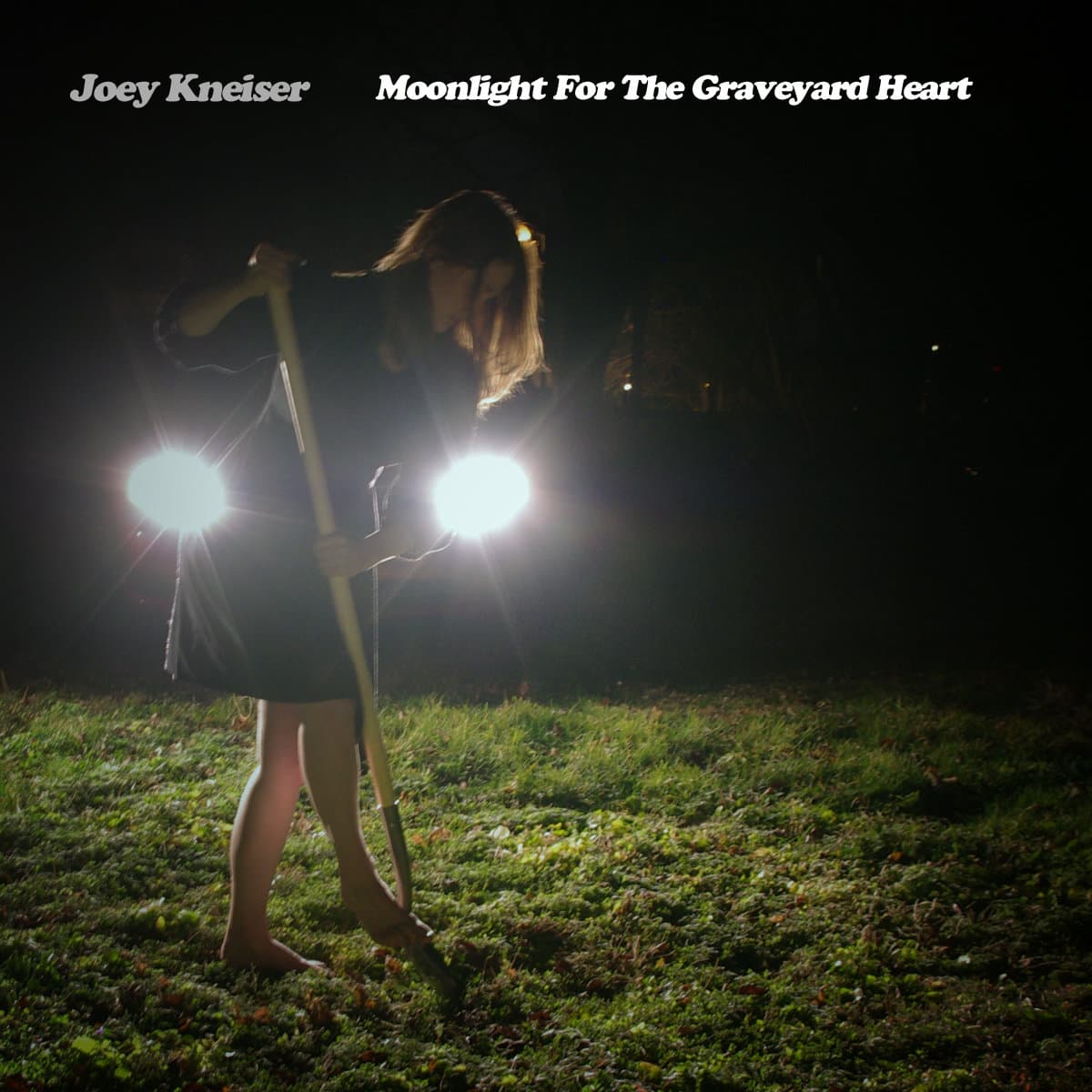 Moonlight for the Graveyard Heart