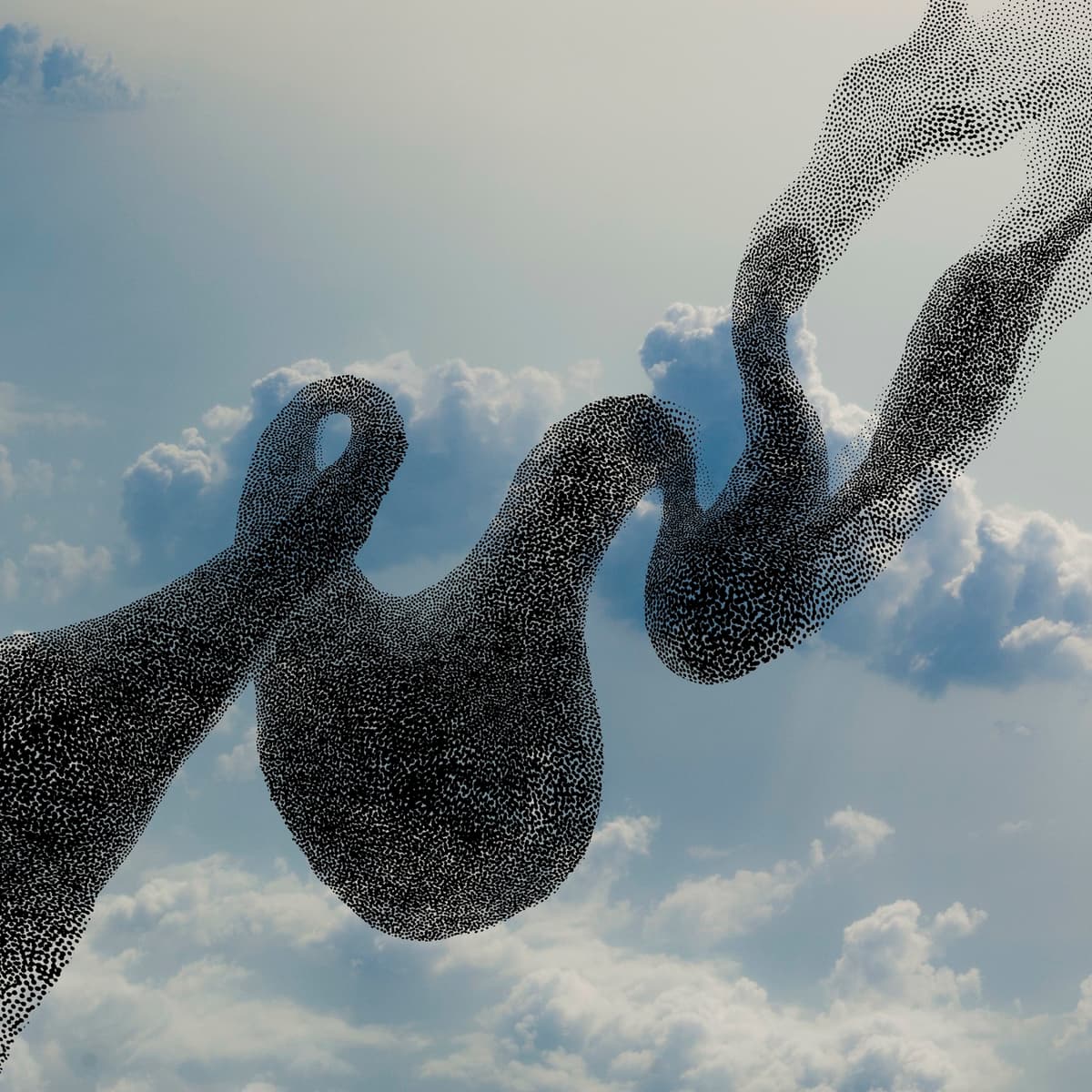 Flight
