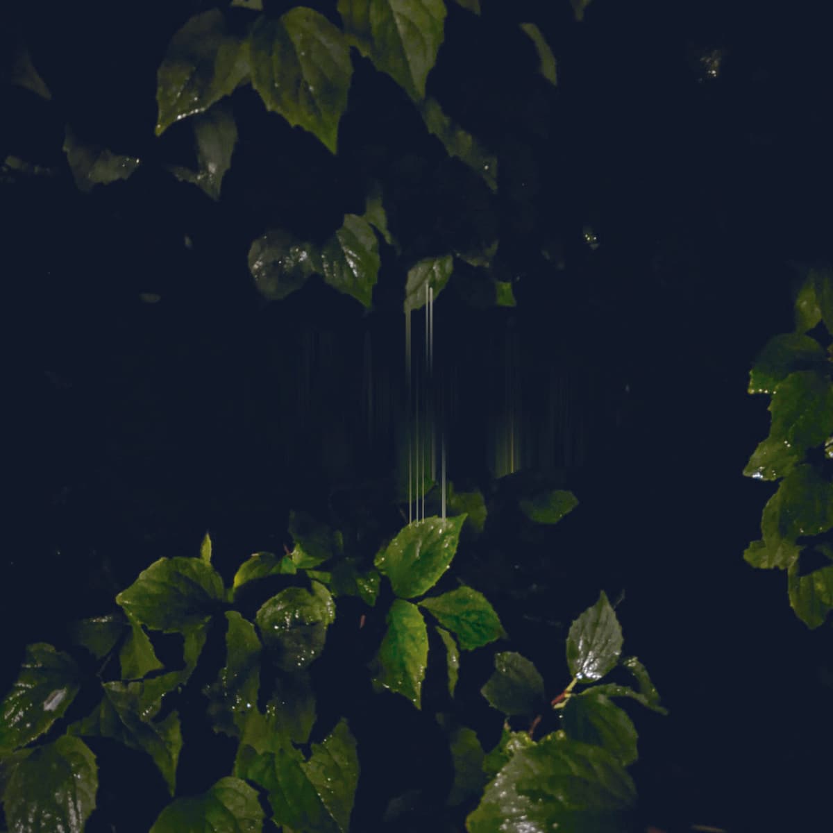 Music for Empty Flats