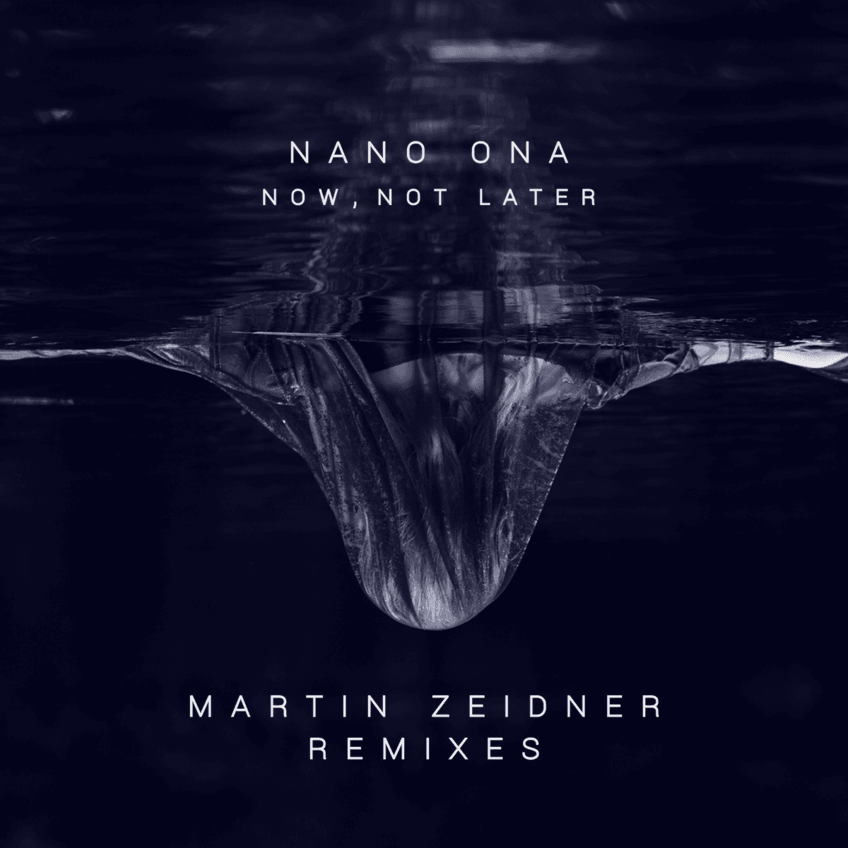 Now, Not Later (Martin Zeidner remixes)