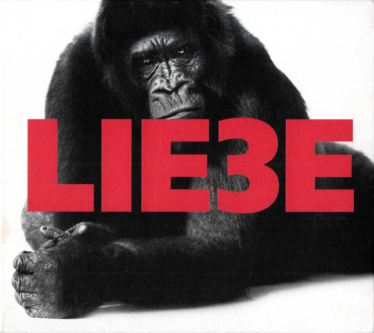 Liebe 3