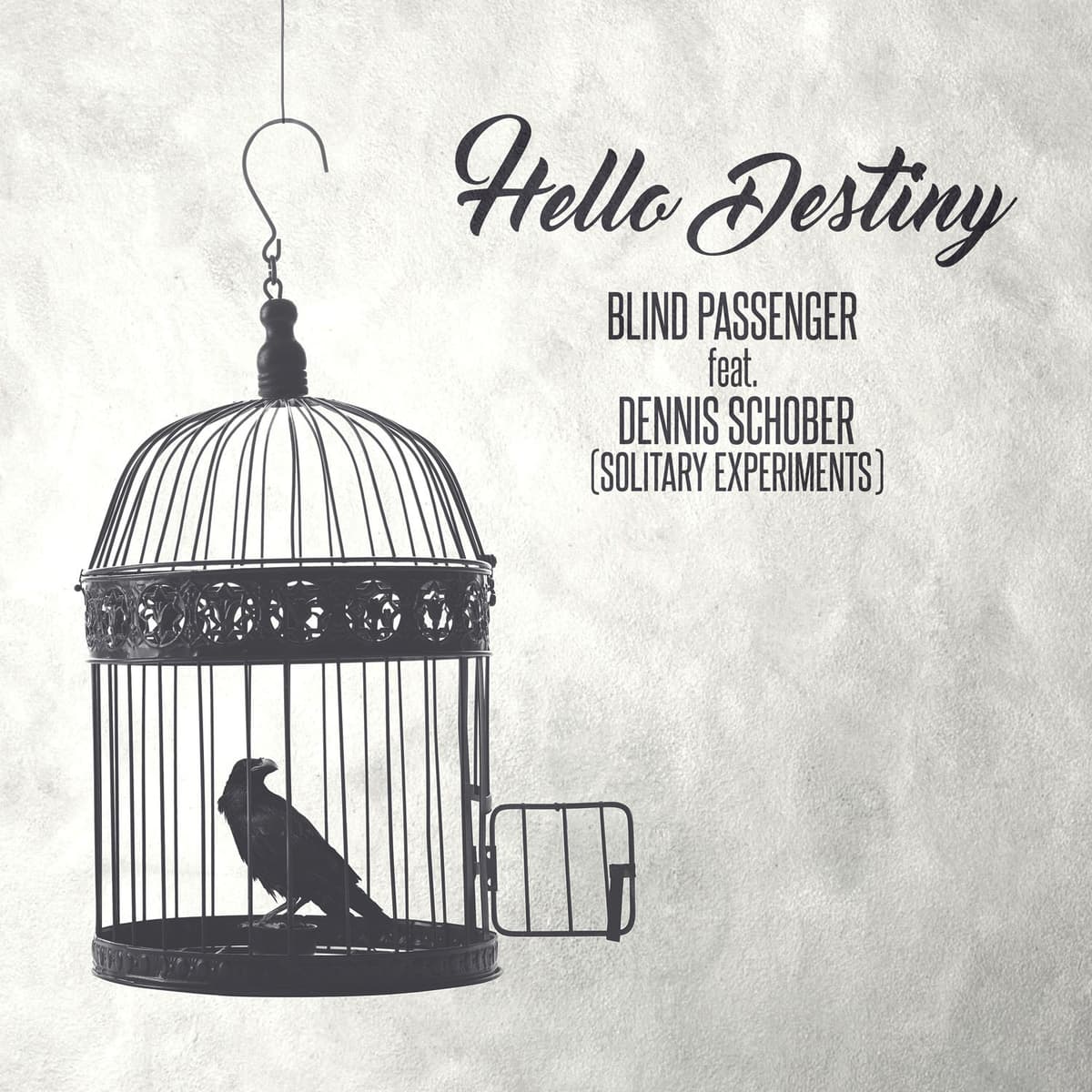 Hello Destiny
