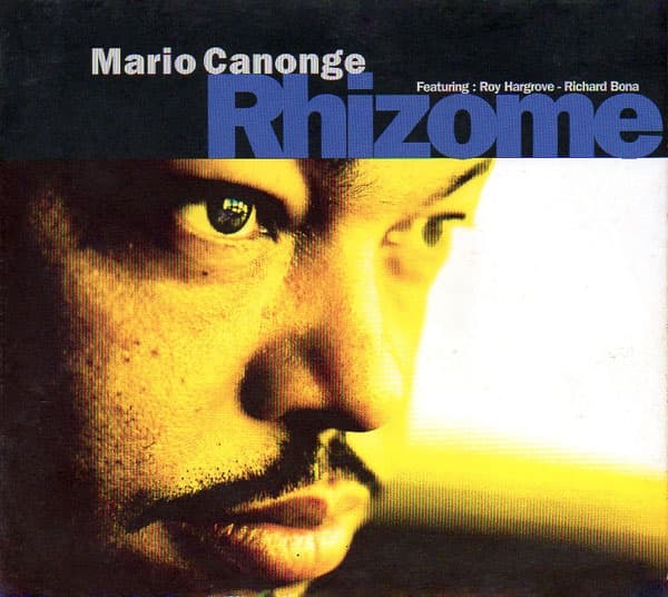 Rhizome