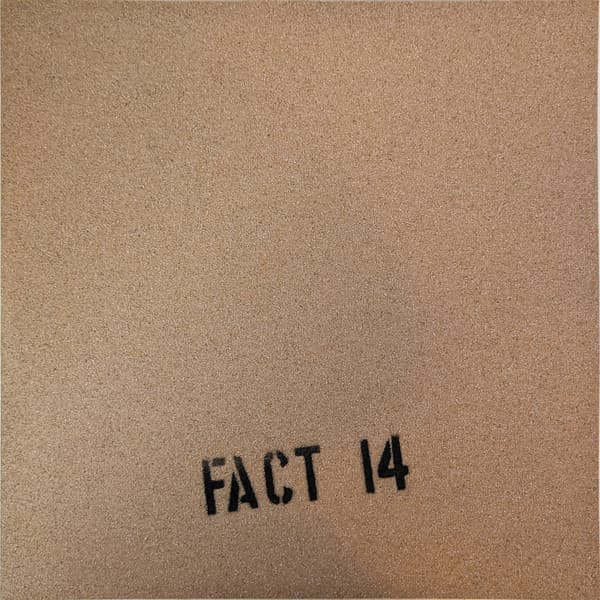 Lost Songs & Sketches 1980-81