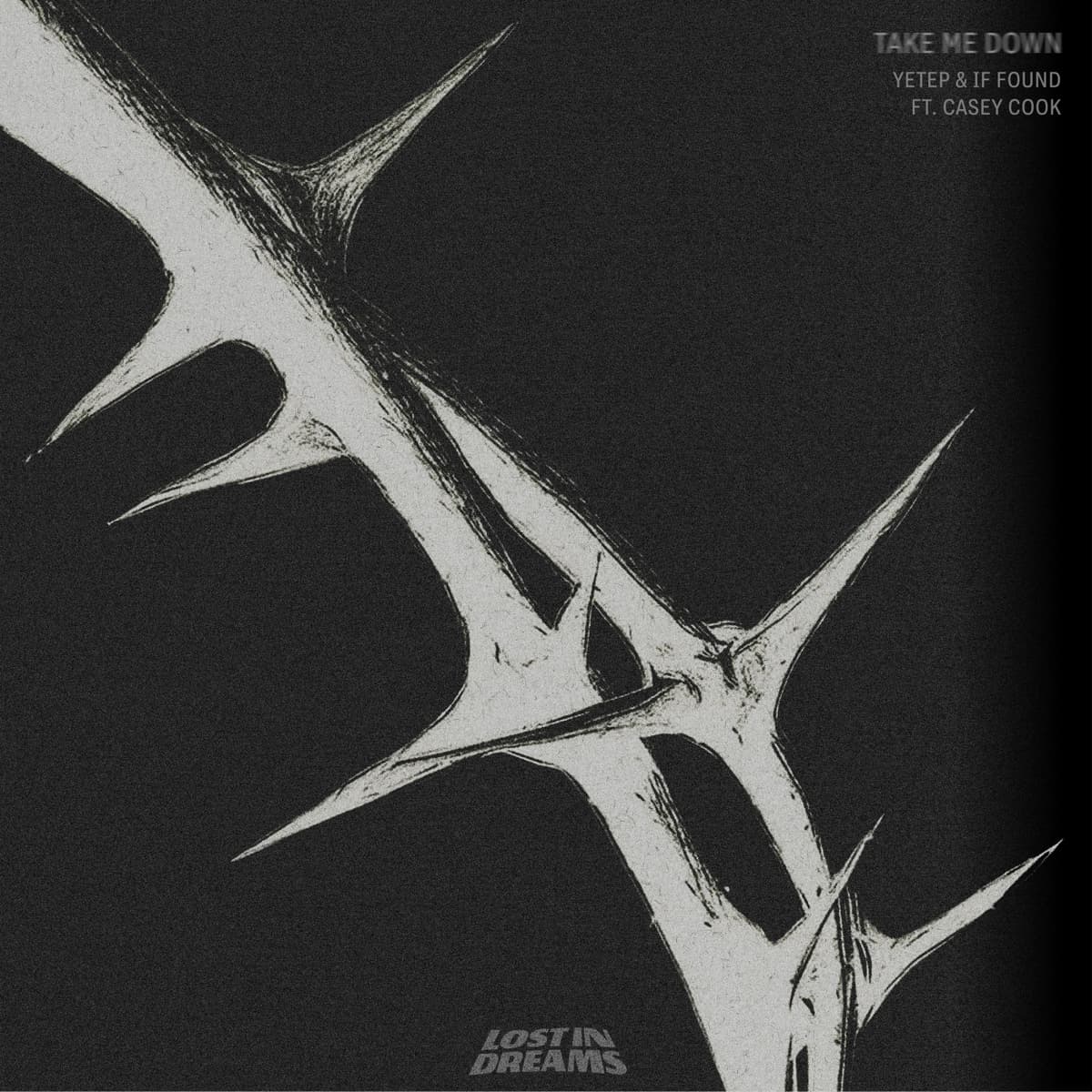 Take Me Down