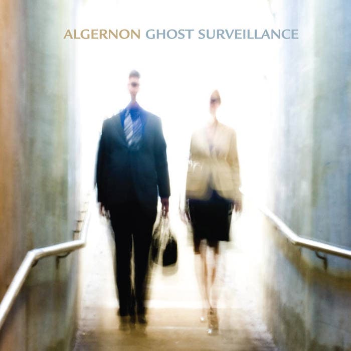 Ghost Surveillance