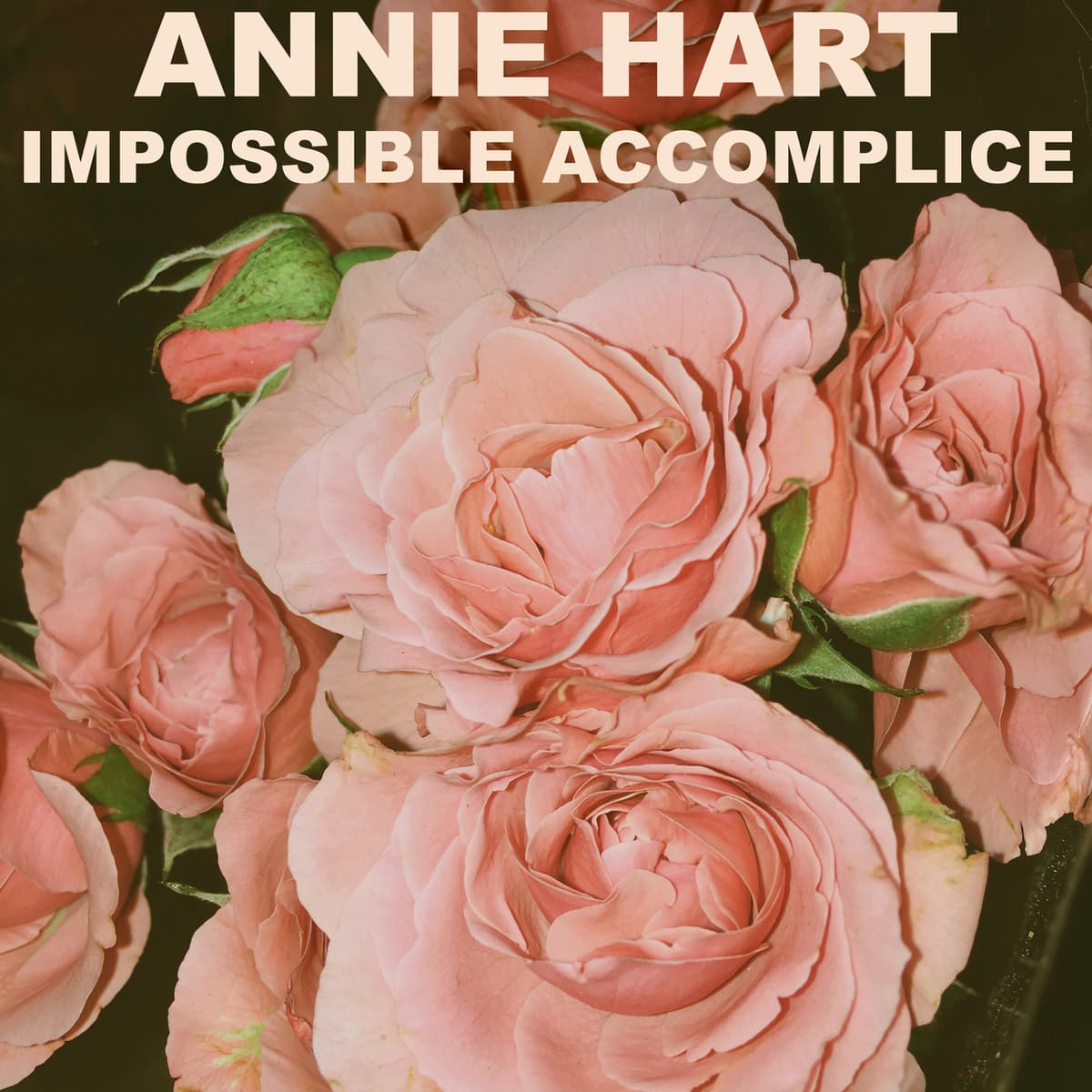 Impossible Accomplice