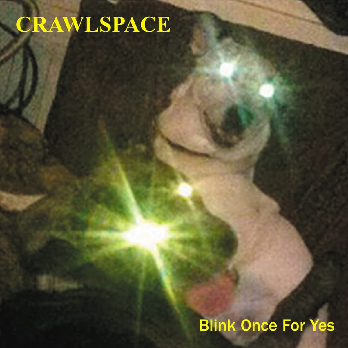 Blink Once for Yes