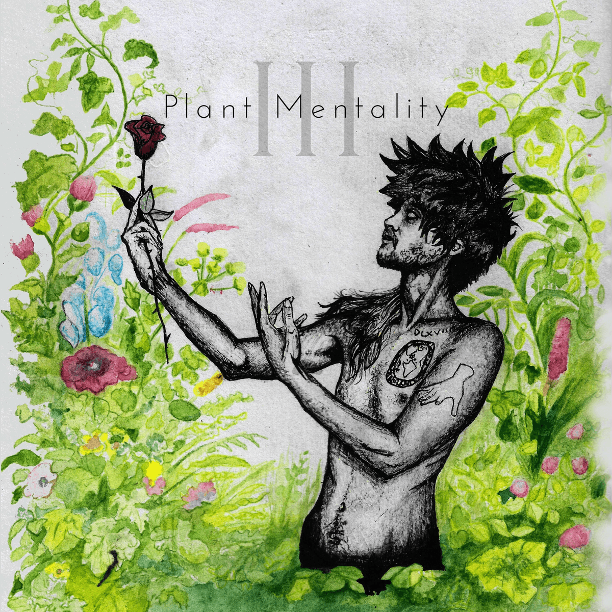 Plant Mentality III