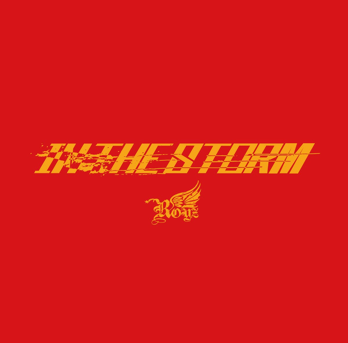 IN THE STORM
