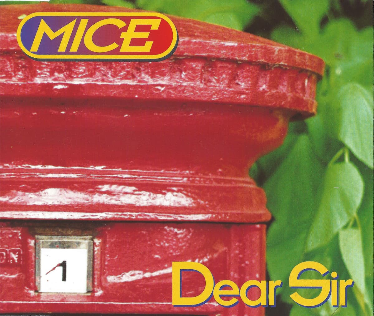Dear Sir